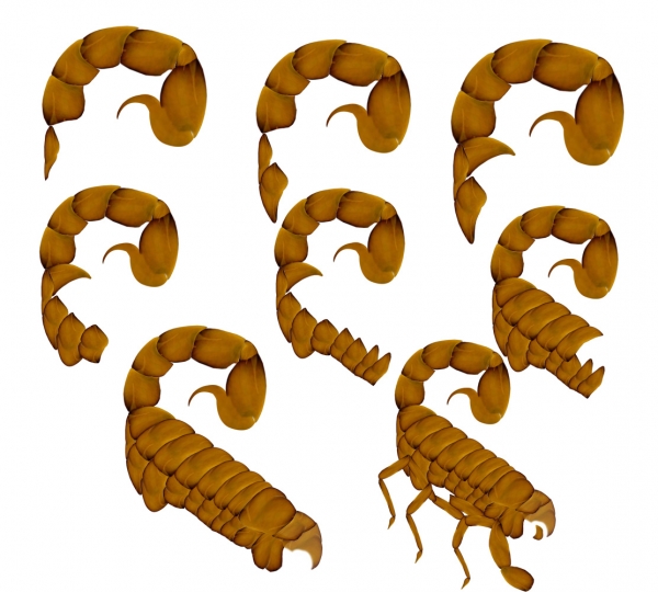 Creation of Wheat Scorpion: Step 2